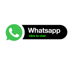 Whatsapp via Website